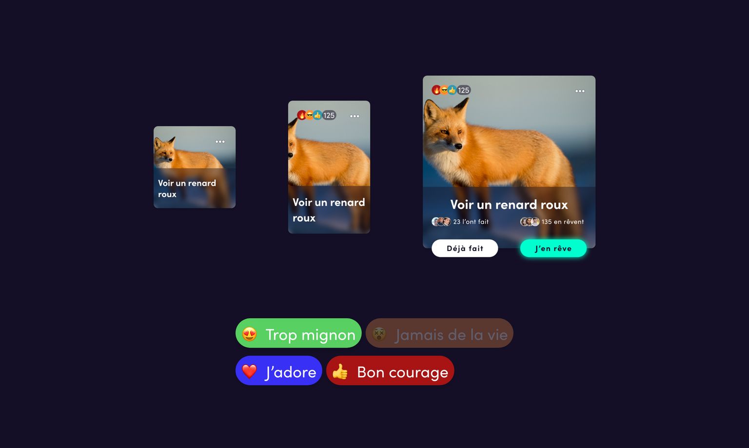 Sélection de composants du design system