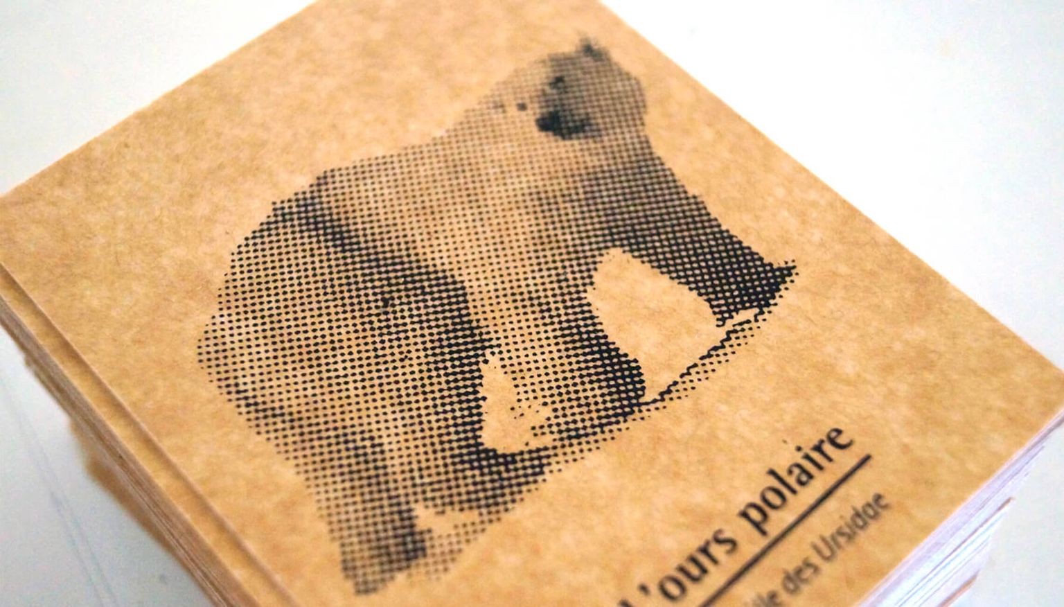Cartes à collectionner "Disapear"